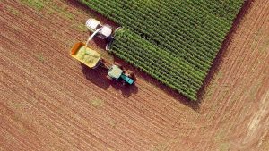 Agriculture