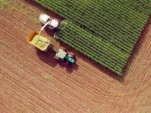Agriculture