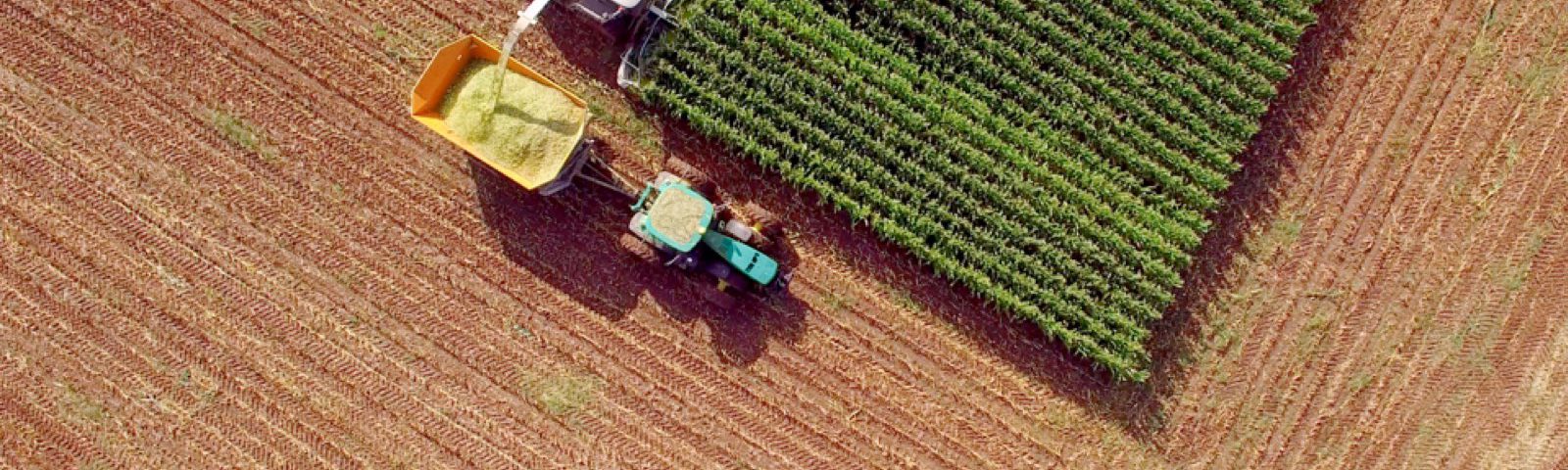 agriculture