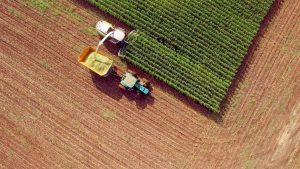 agriculture